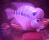 DSCN3497 (1).gif