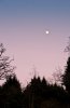 20110317-DSC_4415.jpg