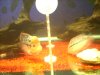 DSCN3539.JPG