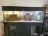 PRE_2011-03-20-081651.jpg