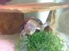 PRE_2011-03-20-161401.jpg