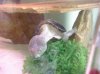 PRE_2011-03-20-161405.jpg
