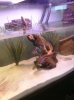 PRE_2011-03-20-185048.jpg