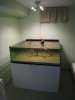 Tank for Hystrix 53.jpg
