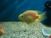 IMG_0477.JPG