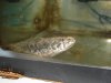 DSC00925.jpg