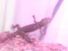 DSCN3558.JPG