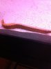 IMG_0757.jpg
