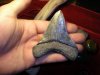 DSCN6368.jpg