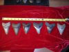 DSCN6359.jpg