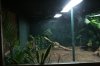 IMG_8847.JPG IMG_8847.JPG