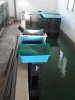 2011-02-17 Trays setup.jpg