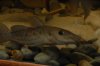 DSC_0067.JPG
