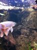 110329_005604.jpg