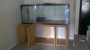 2011-03-28_12-22-01_237.jpg