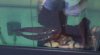 2011-03-28_12-22-14_339.jpg 2011-03-28_12-22-14_339.jpg