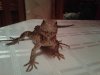 IMG00334-20110320-2016.jpg