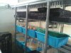 2011-02-20 Final Setup2.jpg