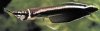 imagesCAV6TXP6.jpg