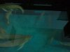 2011-04-06 Aro2.jpg