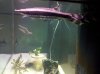 IMG_20110407_174913.jpg