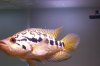 100_4104.JPG
