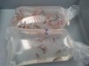 Barbs Tiger and Feeder Fish Sump3 April2011.jpg