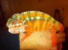 orange and red 1.JPG