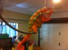 orange and red 3.JPG
