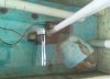 Sump Flower post for hiding places2.jpg