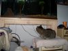 104_0261.JPG