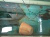 2011-04-11 Pot5.jpg