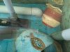2011-04-11Pot4.jpg