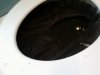 filter sludge2.jpg filter sludge2.jpg