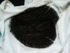 filter sludge3.jpg filter sludge3.jpg