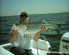 striper.jpg