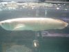 DSC00423.JPG
