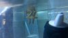 DROID 1 081.jpg DROID 1 081.jpg