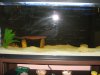Picture 010.jpg