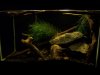 my fishh 167.jpg