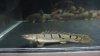 DSC01041.JPG