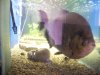 100_1472.JPG