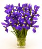 !cid_X_MA1_1288044625@aol.jpg