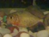 22042011202.jpg