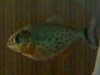 23042011217.jpg