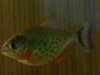 23042011220.jpg