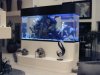 custom_aquarium_setup_page.jpg