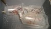 2011-04-24 New Feeder and TigerBarb Albino4.jpg