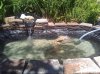 pond1.JPG pond1.JPG
