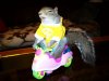 happy-squirrel.jpg